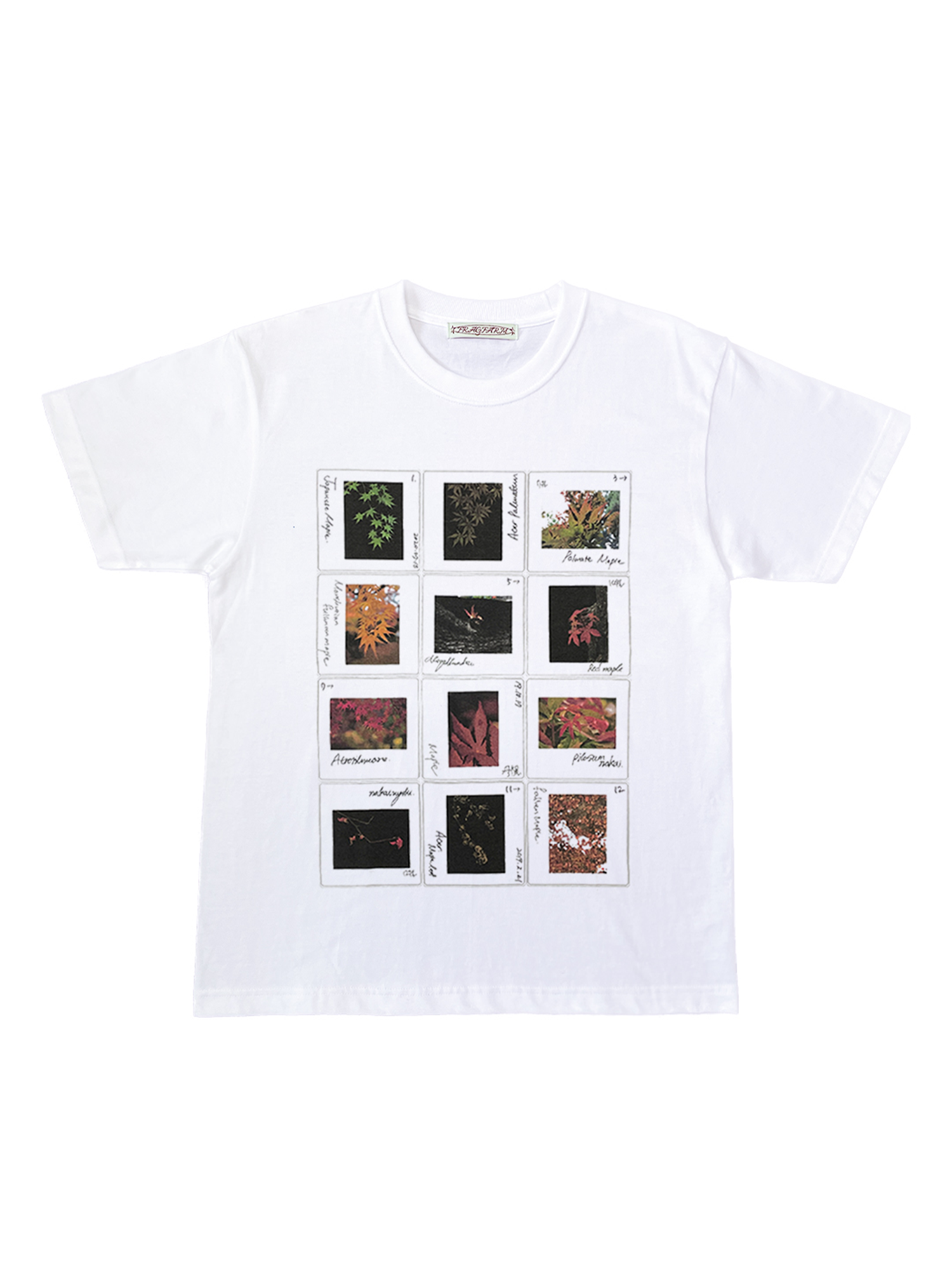 The Record of Autumn Leaves Tee